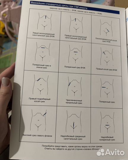 Ультразвуковая диагностика. Базовый курс