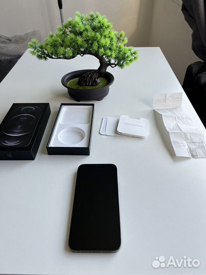 iPhone 12 Pro Max