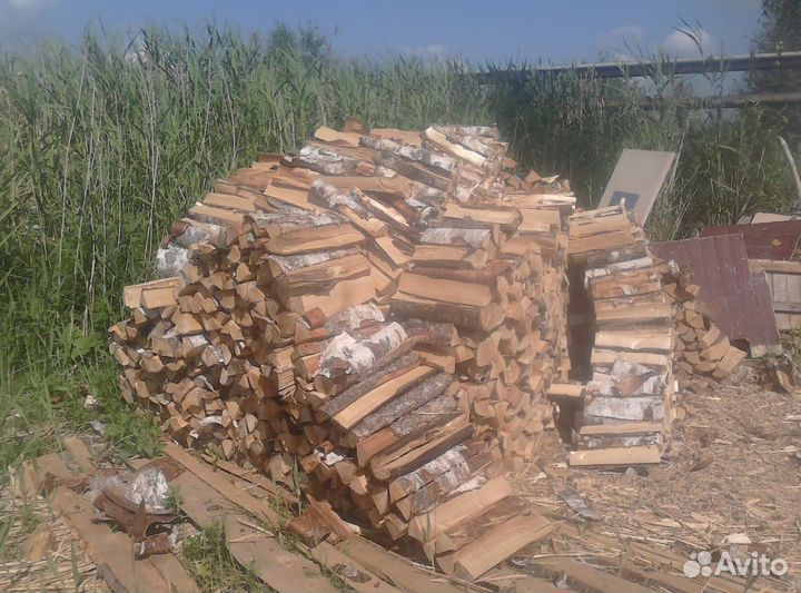 Дрова береза