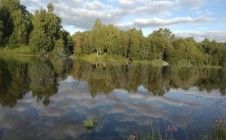 Дом 130 м² на участке 10 сот.