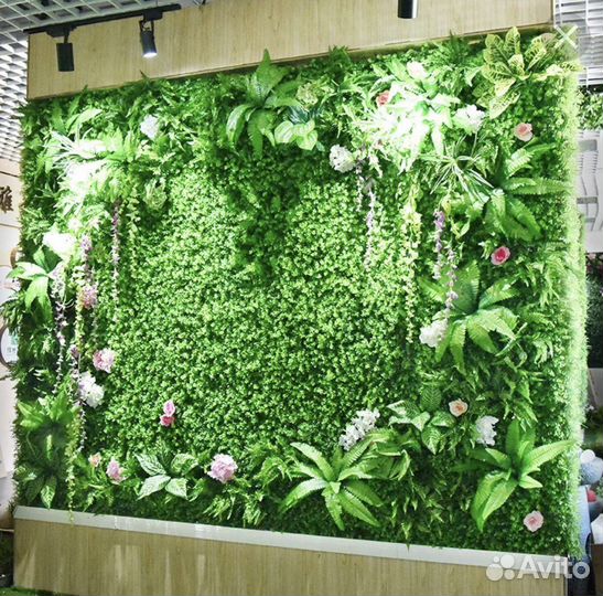 Фито панно, озеленение стен иск растениями и мхом