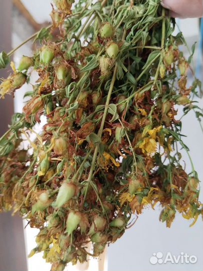 Травы лекарственные