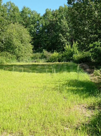 Участок 6 сот. (СНТ, ДНП)