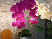 Орхидея фаленопсис, подарок, ночник, светильник