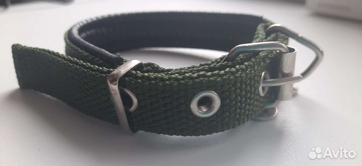 Ошейник для маленькой собаки