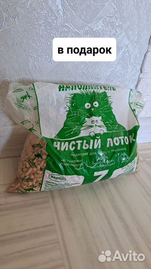 Когтеточка