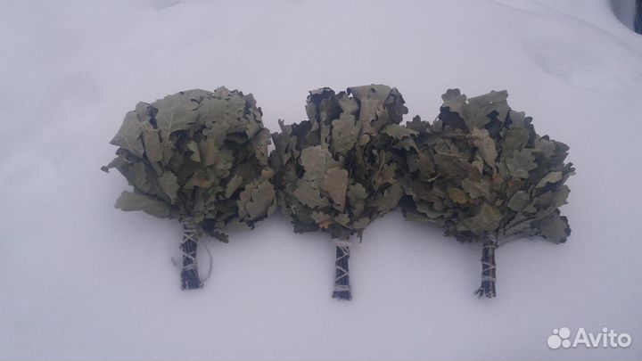 Дубовые веники для бани