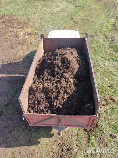 Перегной навоз