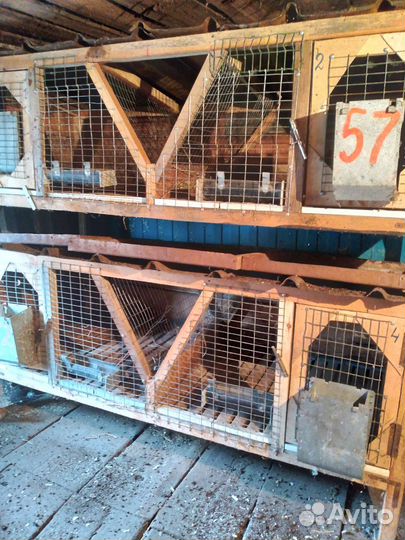 Клетка для кролика