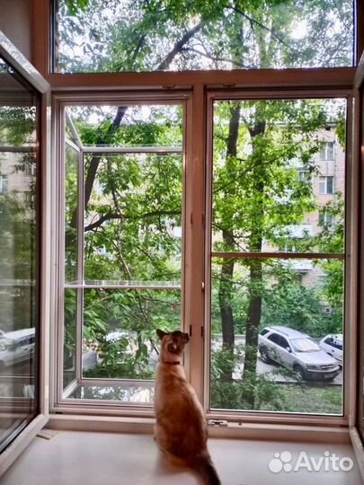 Балкончик для выгула кошек на окна