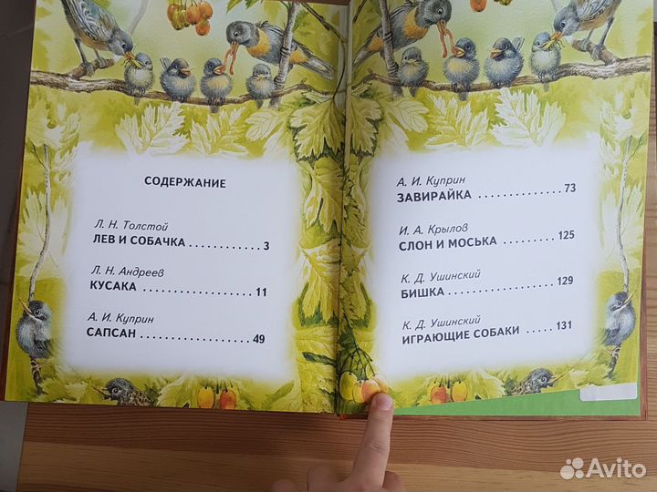 Большай собачья книга (семь разказов)