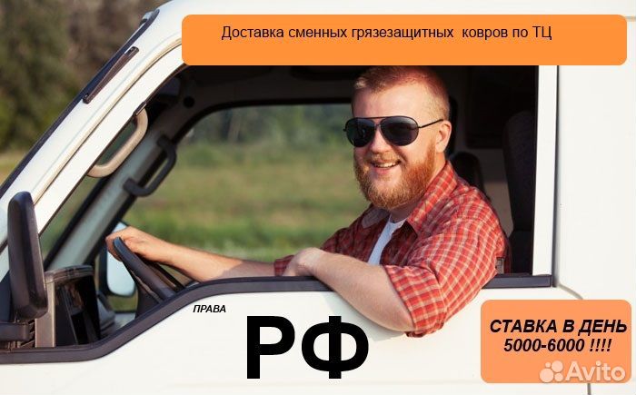 Водитель на своей Газели (аналогичном авто)