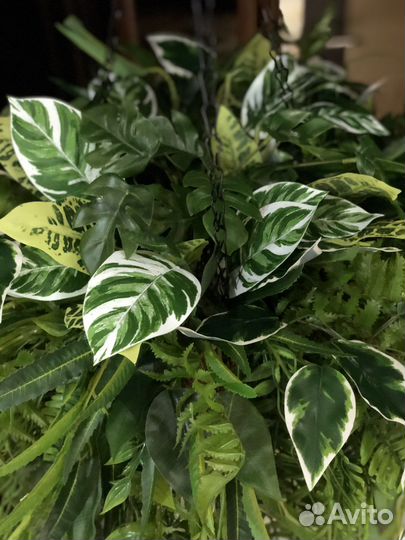 Подвесной сад