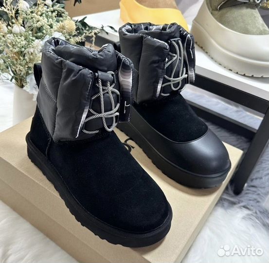 Угги мужские UGG