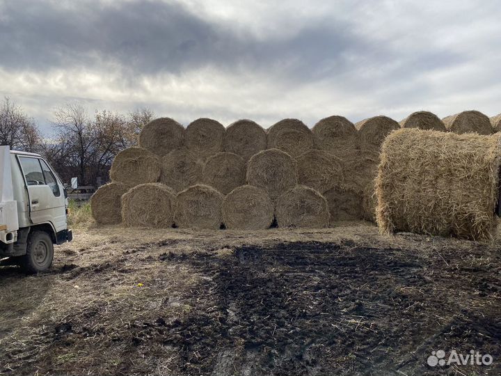 Продам солому в тюках