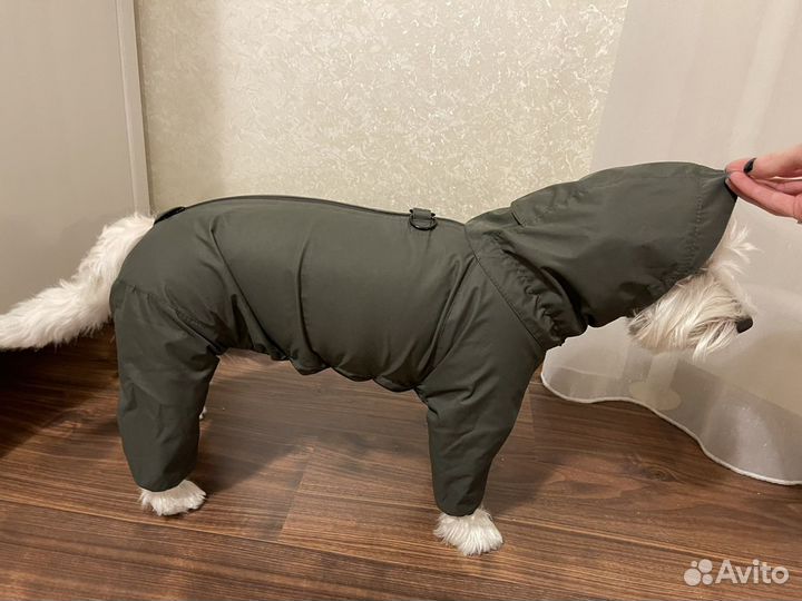 Дождевик для собак hunting pony