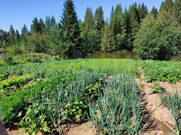 Дом 50 м² на участке 10 сот.