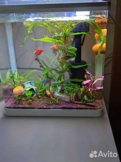 Аквариум