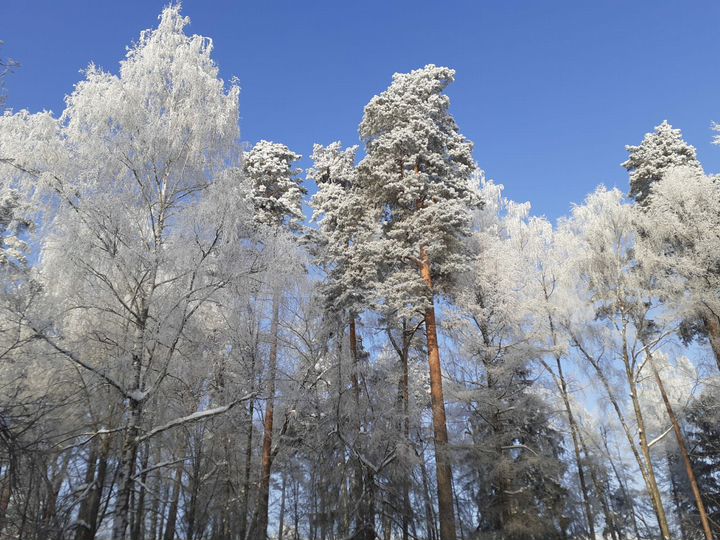 Участок 100 сот. (ИЖС)