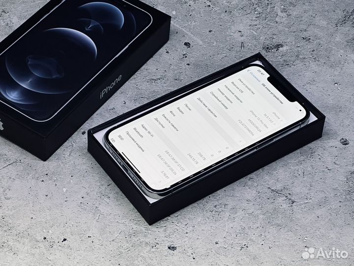 iPhone 12 Pro Max, 256 ГБ