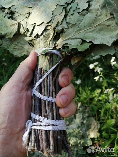 Про100 берёзовый веник