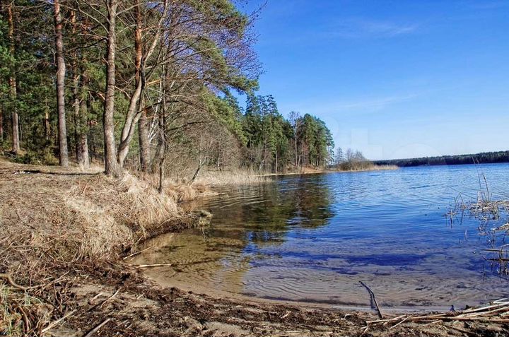 Участок 14 сот. (ИЖС)