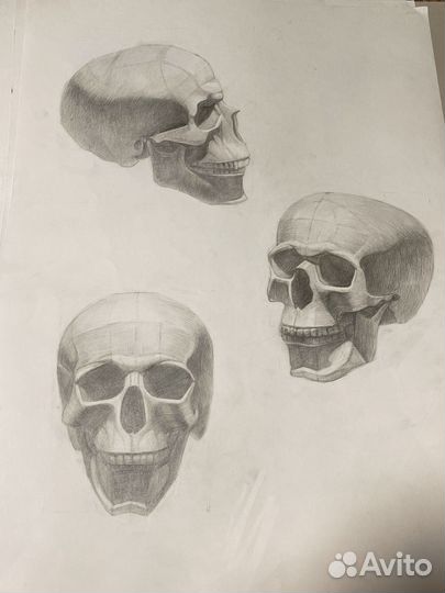 Академический рисунок