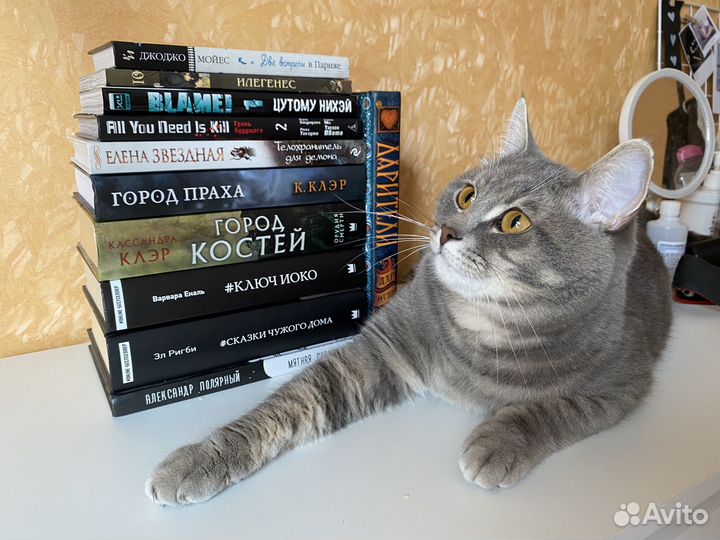 Книги от котика