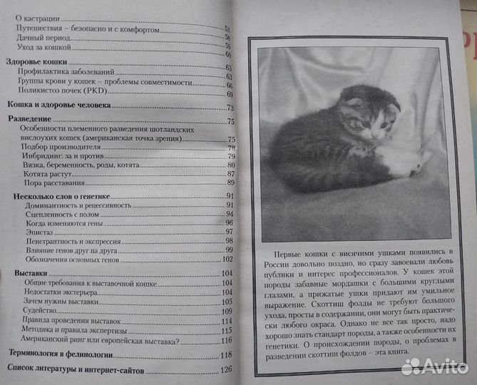 Книги о котах