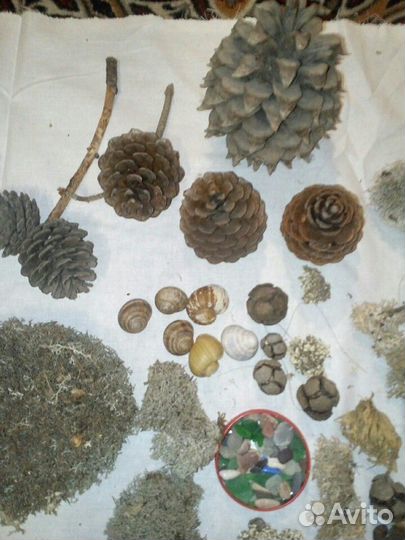 Природный материал