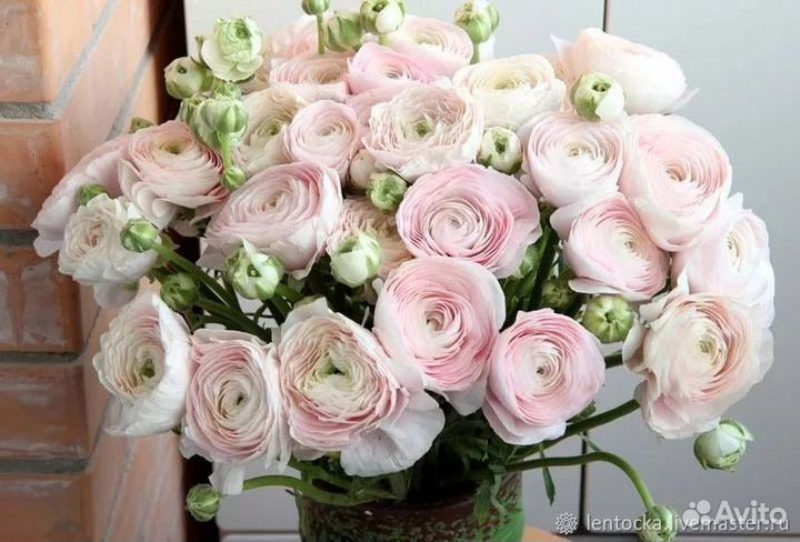 Букеты цветы ранункулюсы