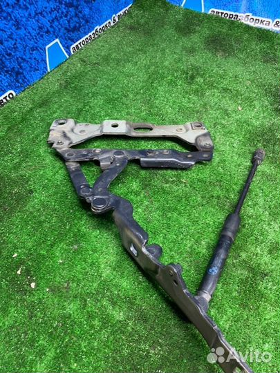 Петля капота левая Bmw 7 F01 F02 N63 2010