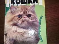 Персидские кошки / книга о кошках