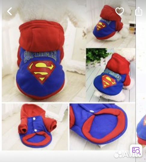 Одежда для кота или собаки