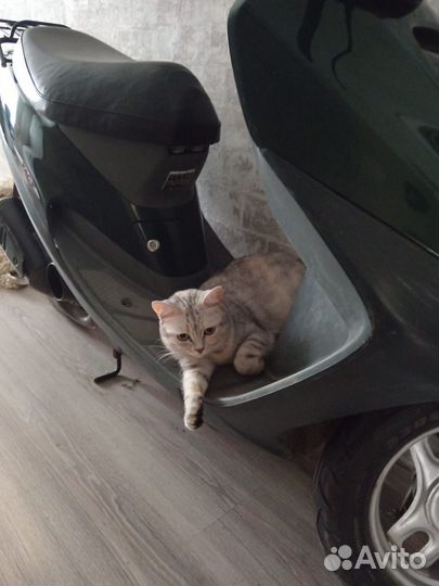 Скутер Honda такт 30