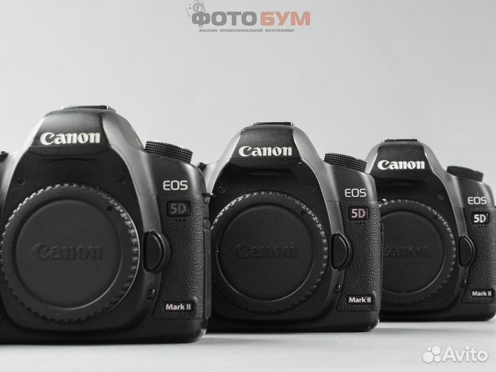 Фотоаппарат Canon EOS 5D mark II