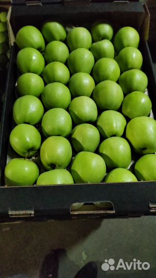 Яблоки оптом