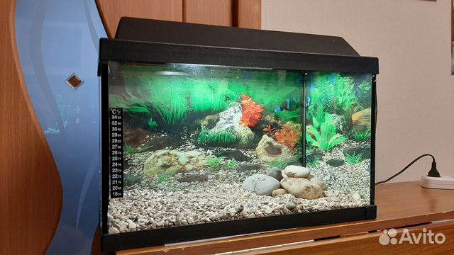 Аквариум для рыб