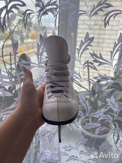 Коньки фигурные nikole