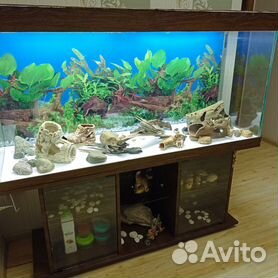 Обустройство аквариума | Любителям аквариума