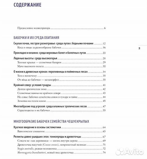 Бабочки книга