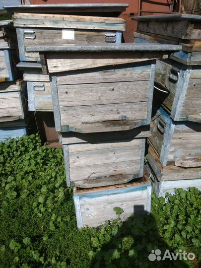 Улей с магазином для пчел