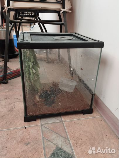 Террариум для рептилий