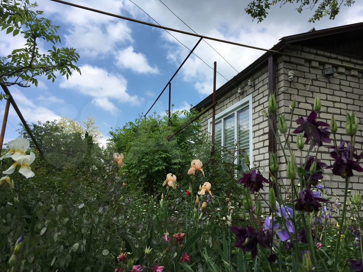 Дом 48,6 м² на участке 11 сот.