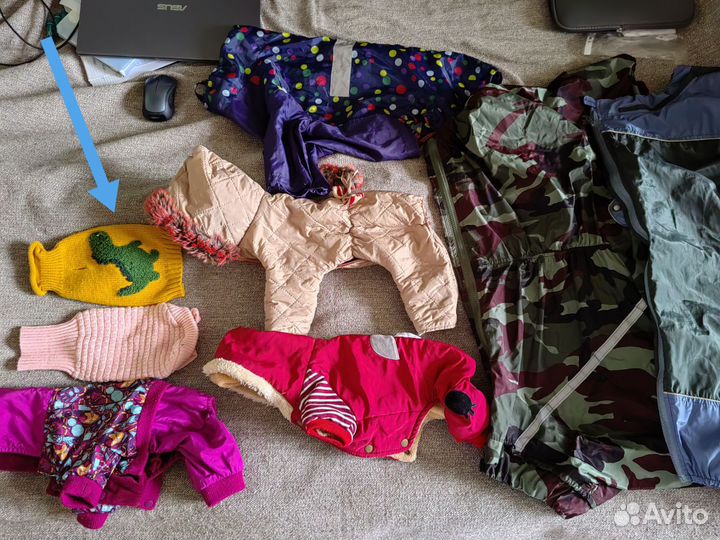 Попоны для собак разных размеров