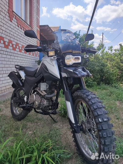 Fireguard 250 trail