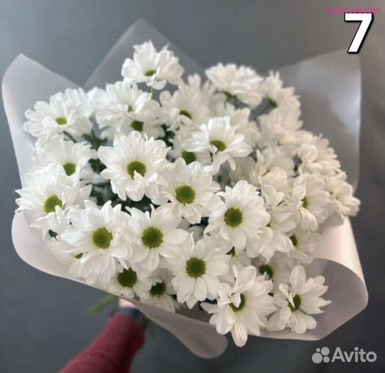 Букеты из хризантем (Арт.61750)