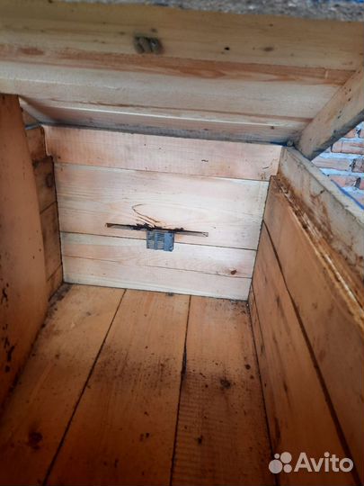 Пчелы и улья