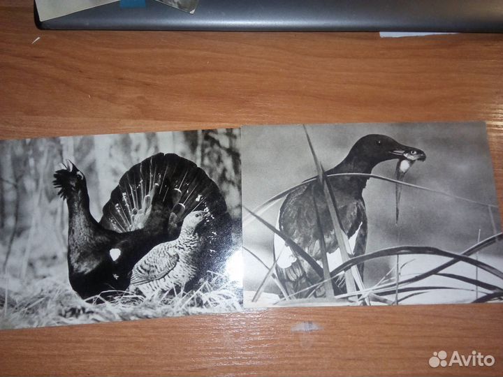 Открытки СССР 1968 год 