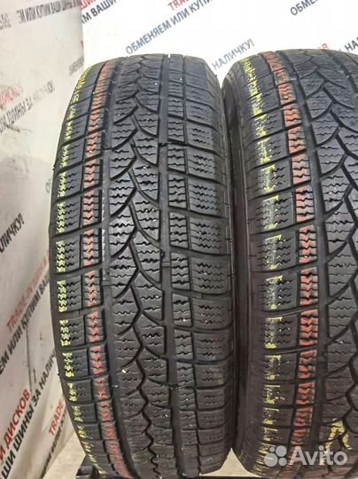 Tigar Winter 1 195/65 R15 95H